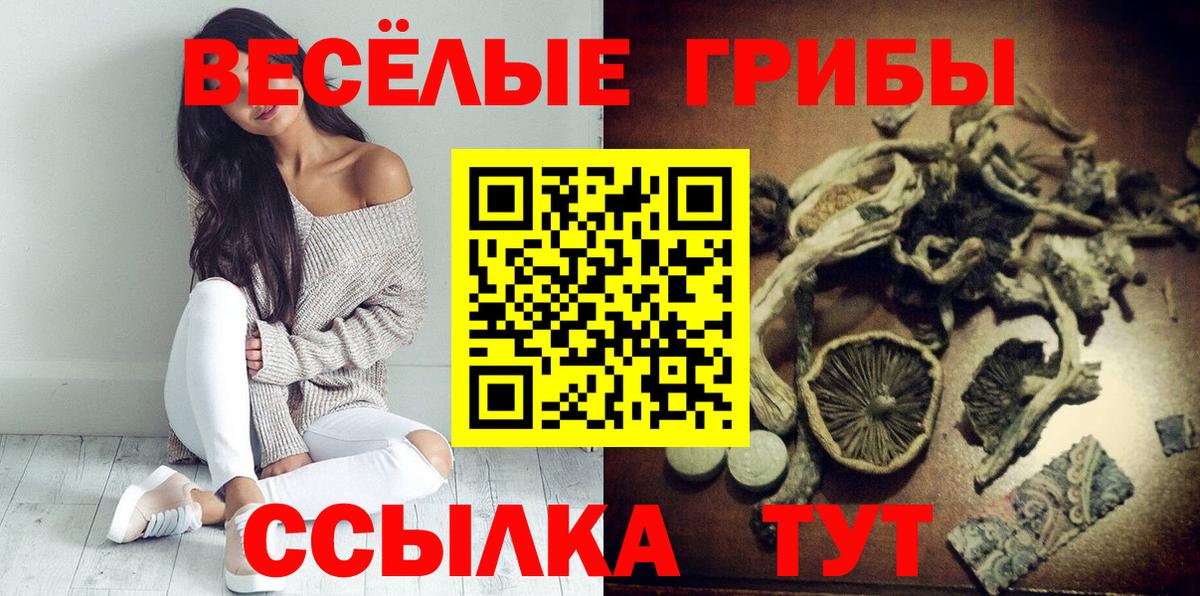 Пугачёв  Галлюциногенные грибы мухоморы  Вход с VPN  Псилоцибиновые грибы GOLDEN TEACHER 